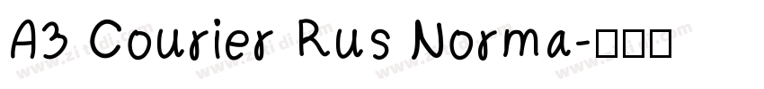 A3 Courier Rus Norma字体转换